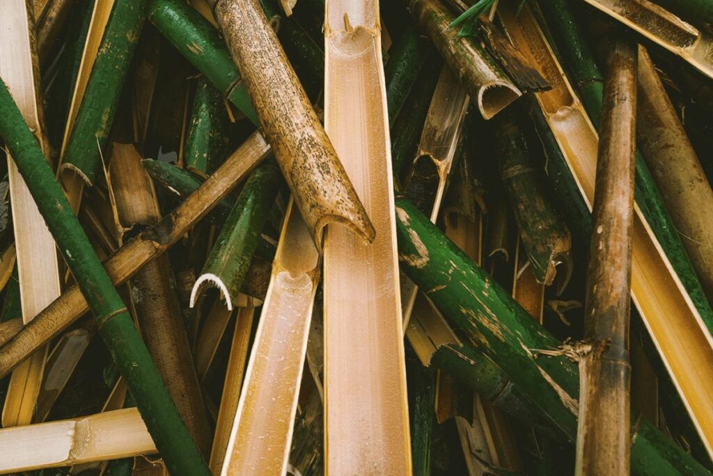 Green and brown chopped bamboo wood